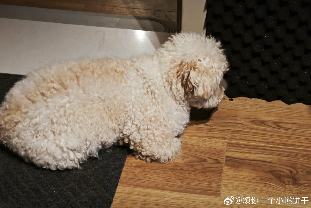 Данила Крючков tweet media