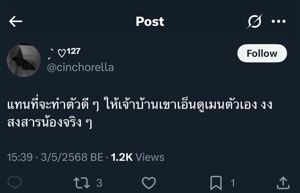 nongbloom ᑉ³ tweet media