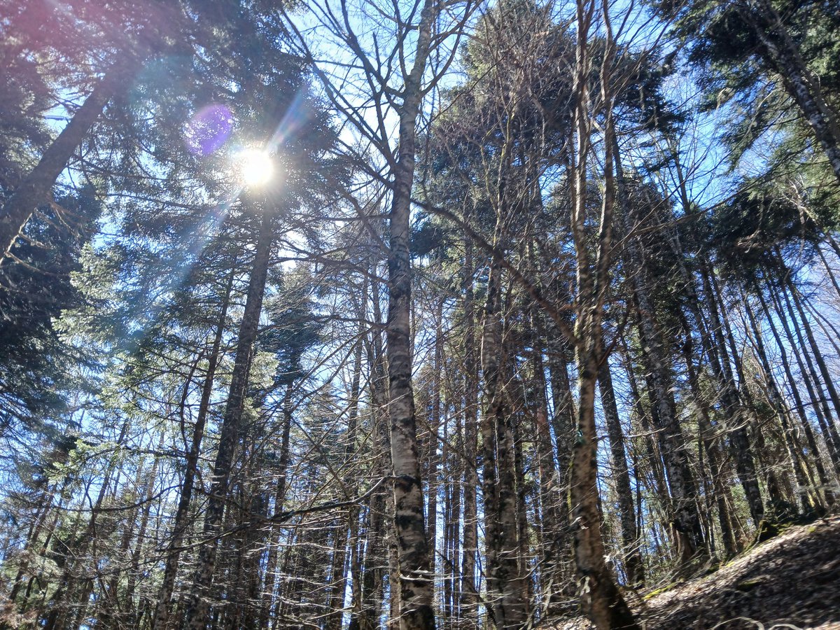 Φευ 🐛 tweet media