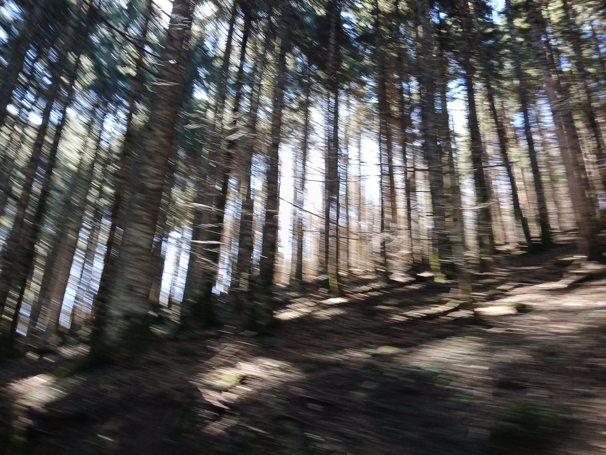 Φευ 🐛 tweet media