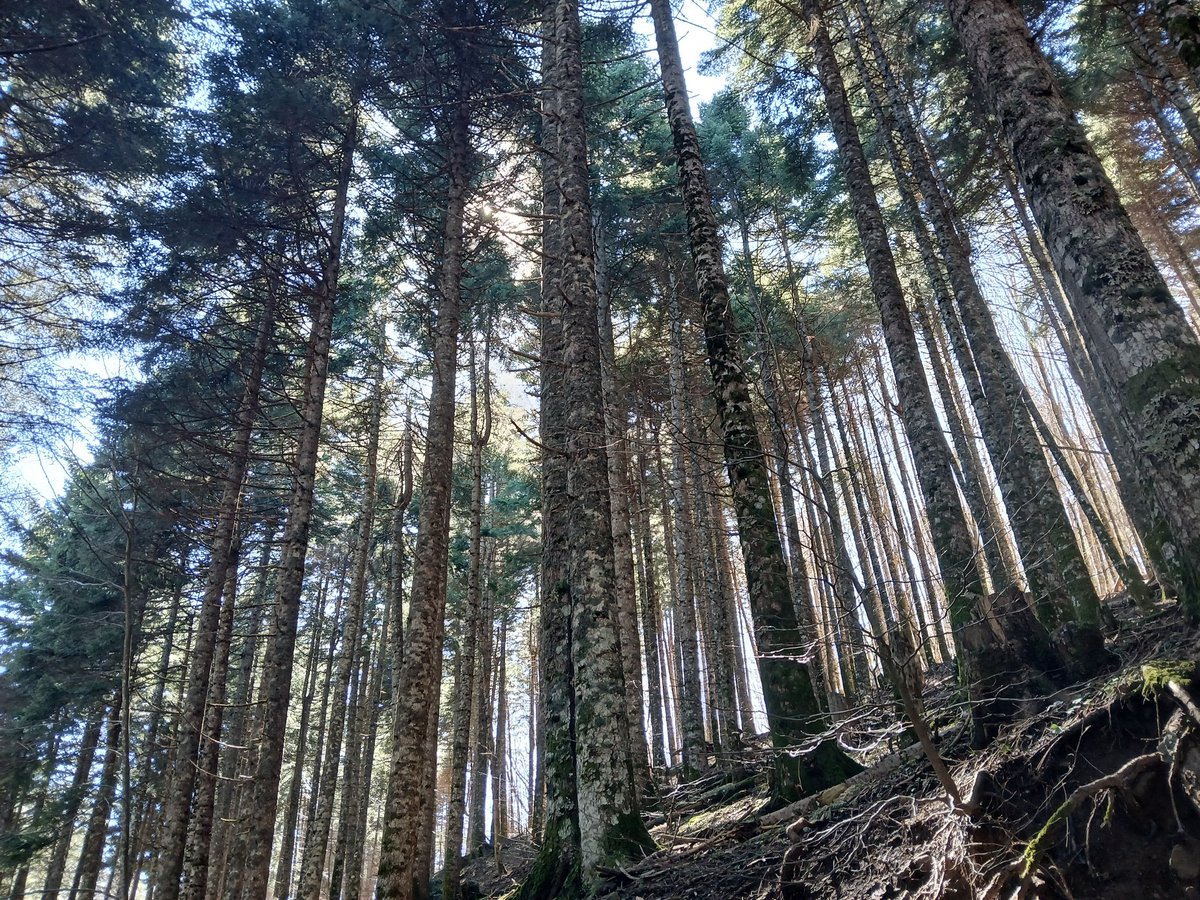 Φευ 🐛 tweet media