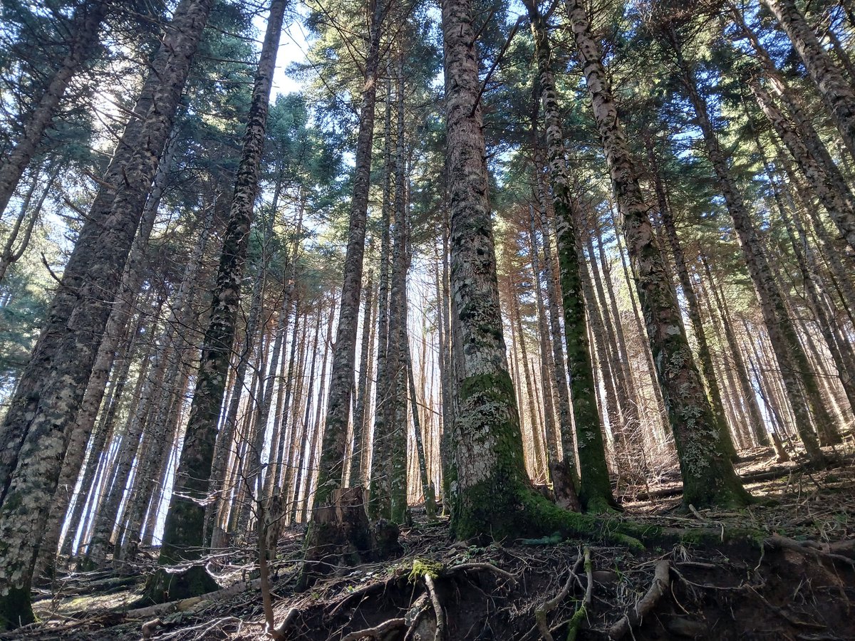 Φευ 🐛 tweet media