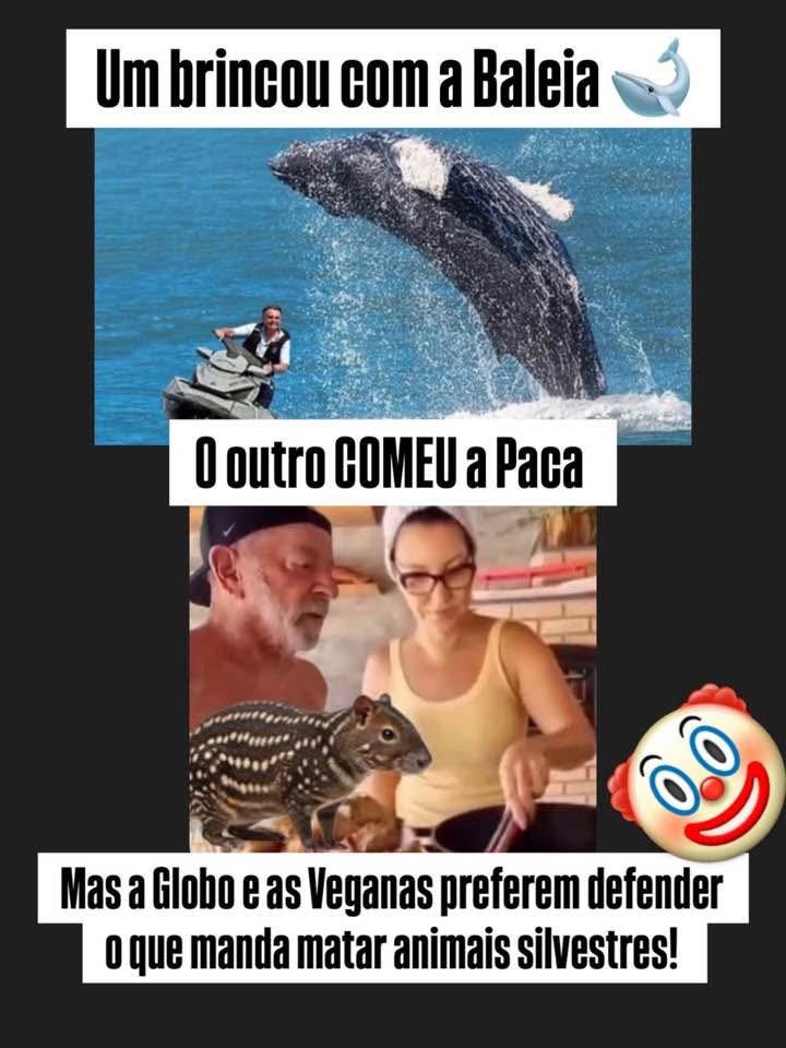 Paula Zanelli tweet media