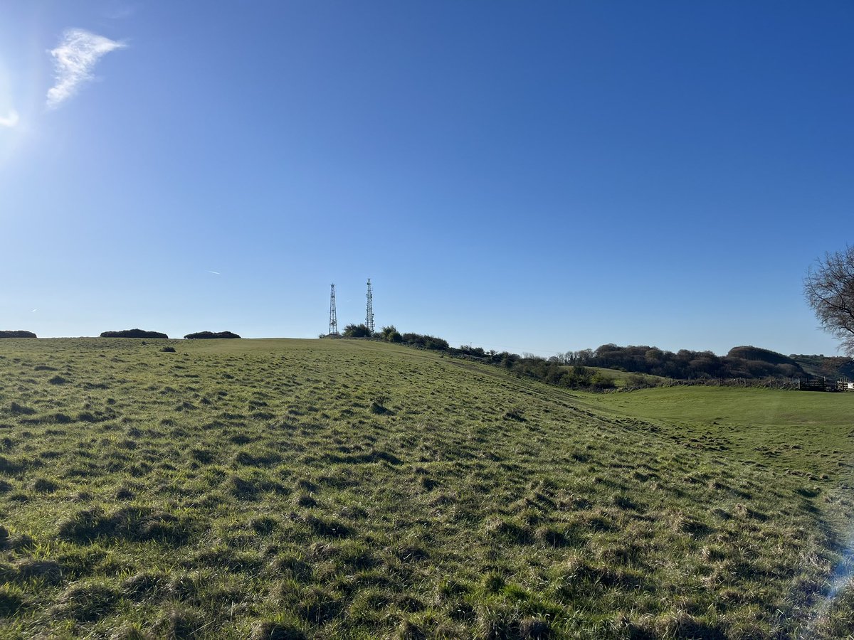 PaulDMasters's tweet photo. Brief views of a Ring Ouzel on Cleeve Common this morning in a two-hour search; also two male Wheatears, a Willow Warbler, a Swallow over, three Ravens and a Red Kite, plus Chiffchaff, Skylarks, Mipits and Yellowhammers #glosbirds https://t.co/bwATHFxgLo