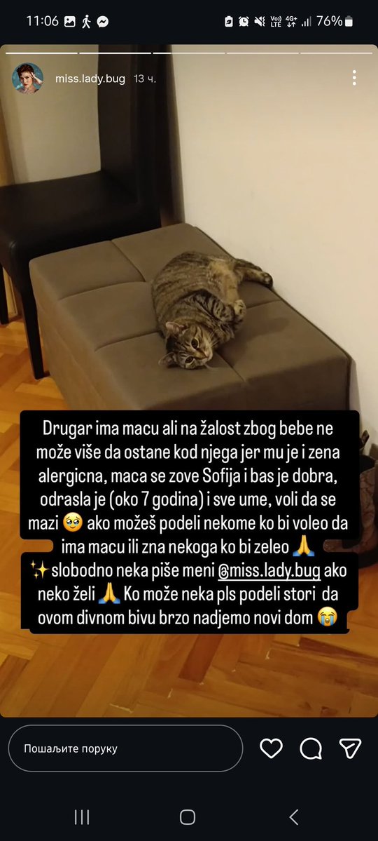 Инстаграм instagram.com/miss.lady.bug?…
Страшно ми је како се овако људи ратосиљавају дугогодишњег члана породице (љубимца)