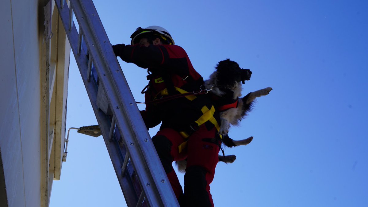 Pompiers13 tweet media