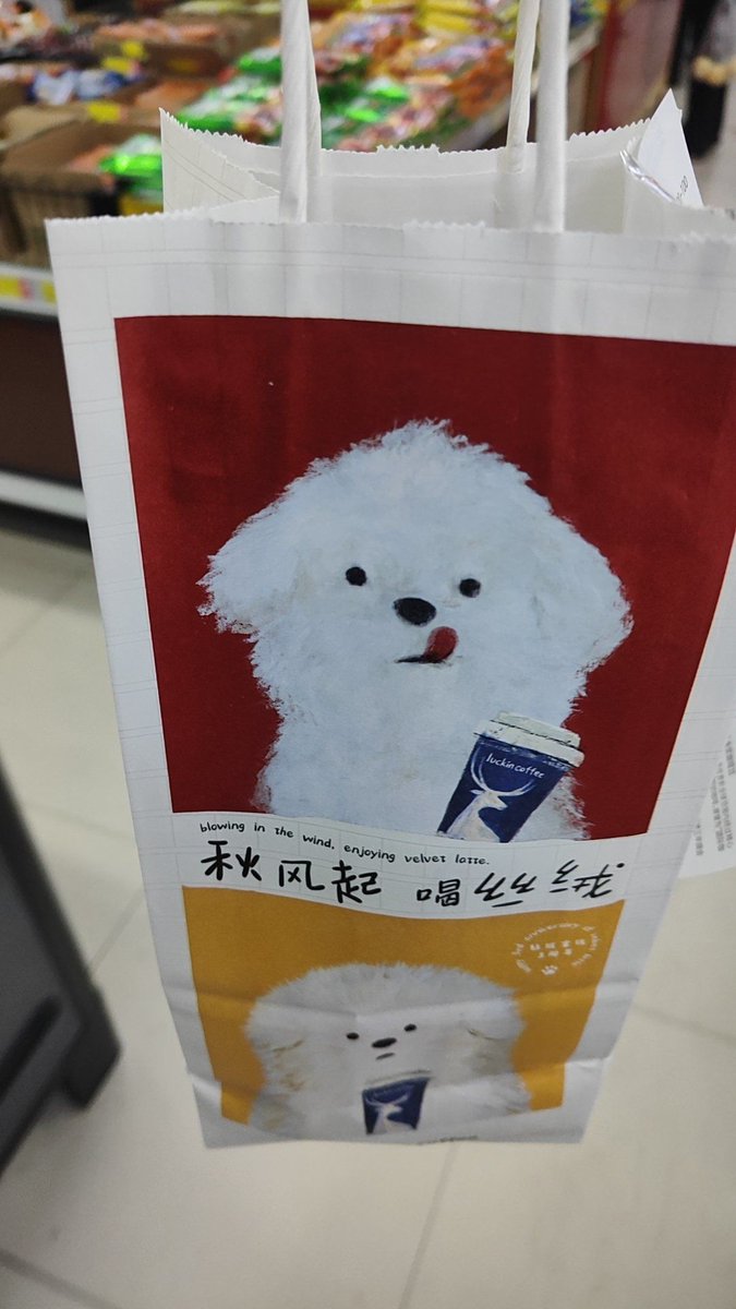 Alexandre GADAIL tweet media