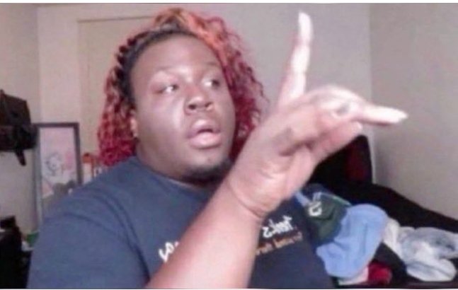 Layla Enha tweet media