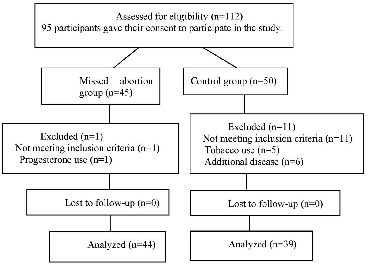 Clinical and Experimental Obstetrics & Gynecology tweet media