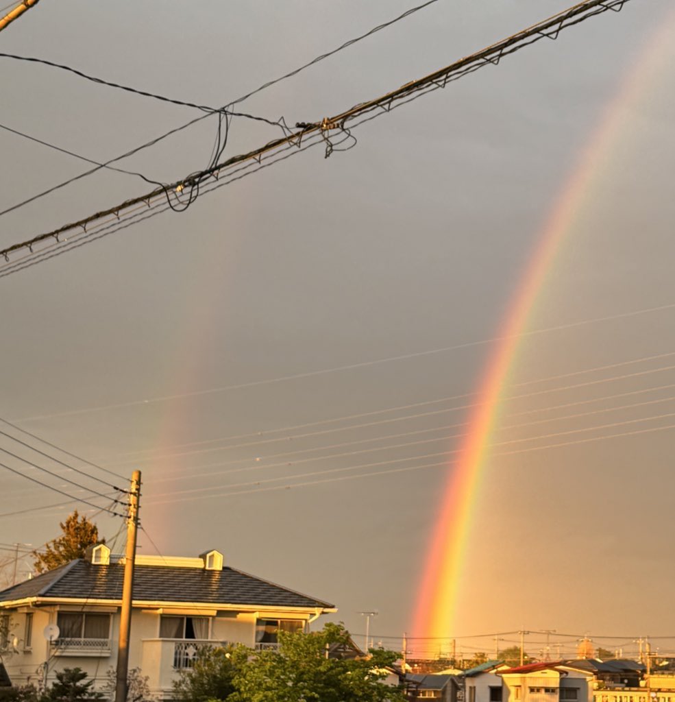 きな粉🐰moonrabbit tweet media