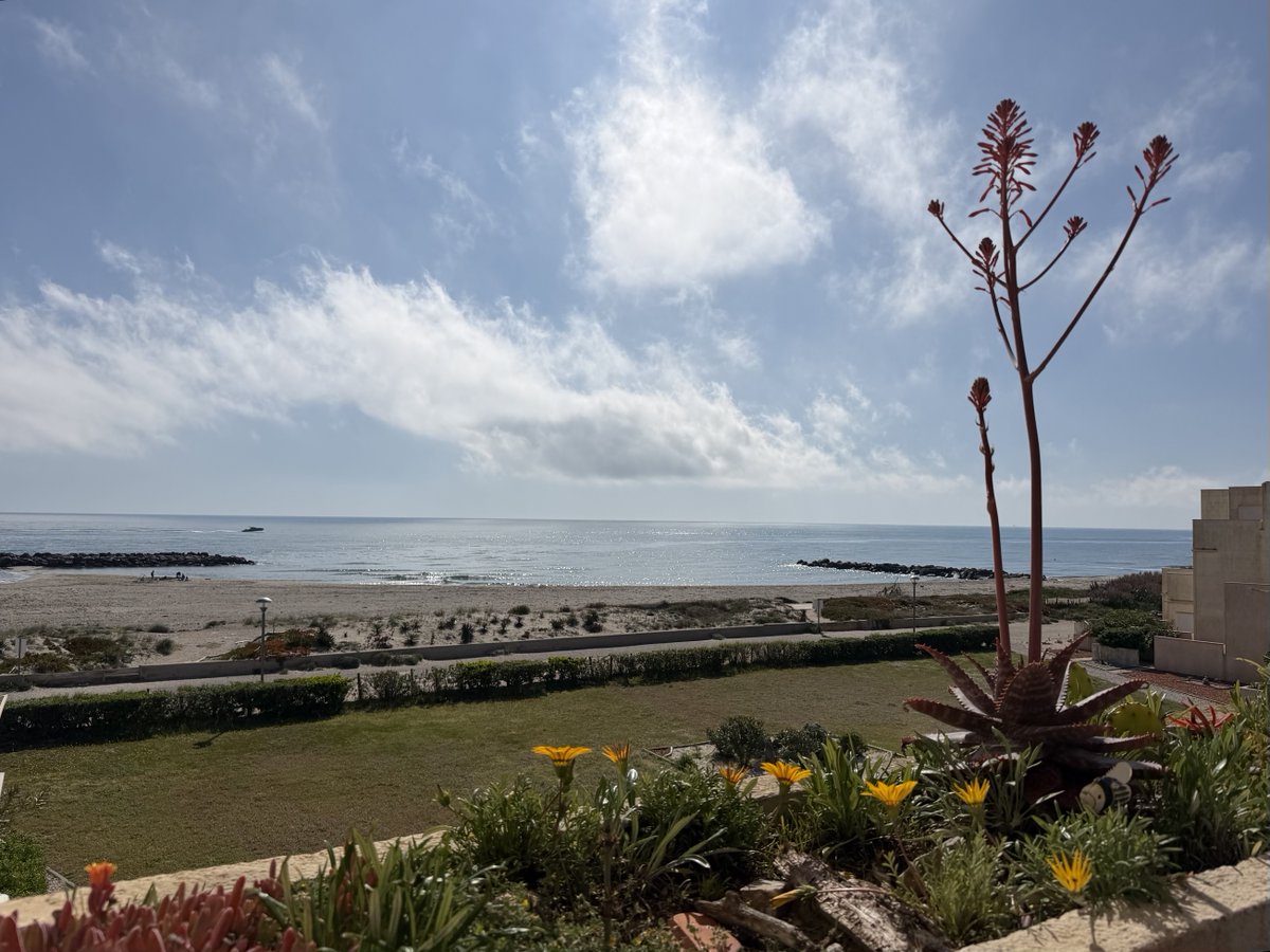 DocArnica tweet media