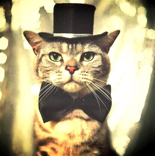 BALSE(バルス)@京都(Kyoto) tweet media