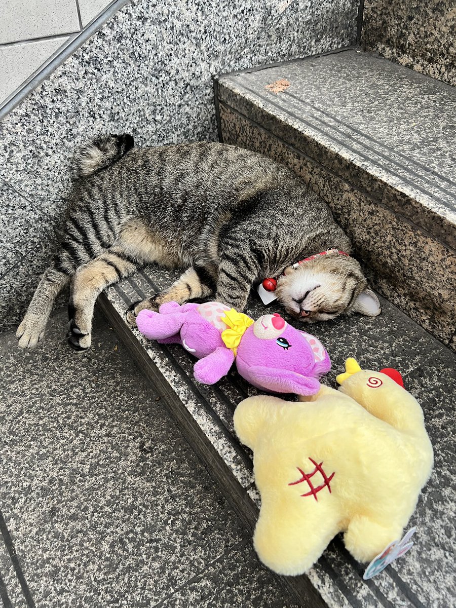 หม่ามี้น้องพริมโรส🌸 tweet media