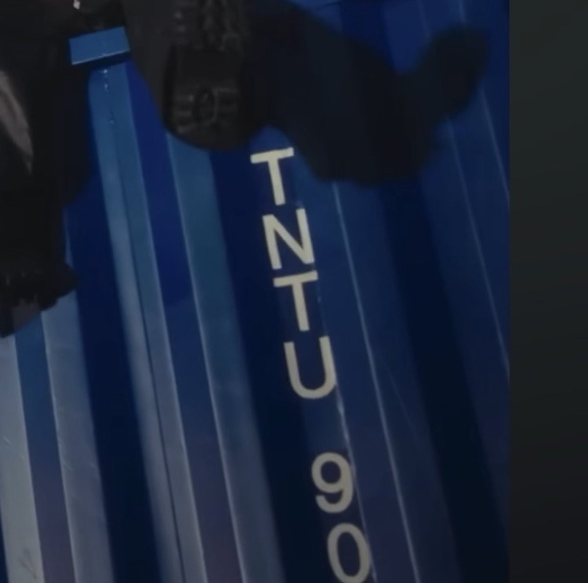 𝐰.𝐩𝐥𝐨𝐲 ꔫ tweet media