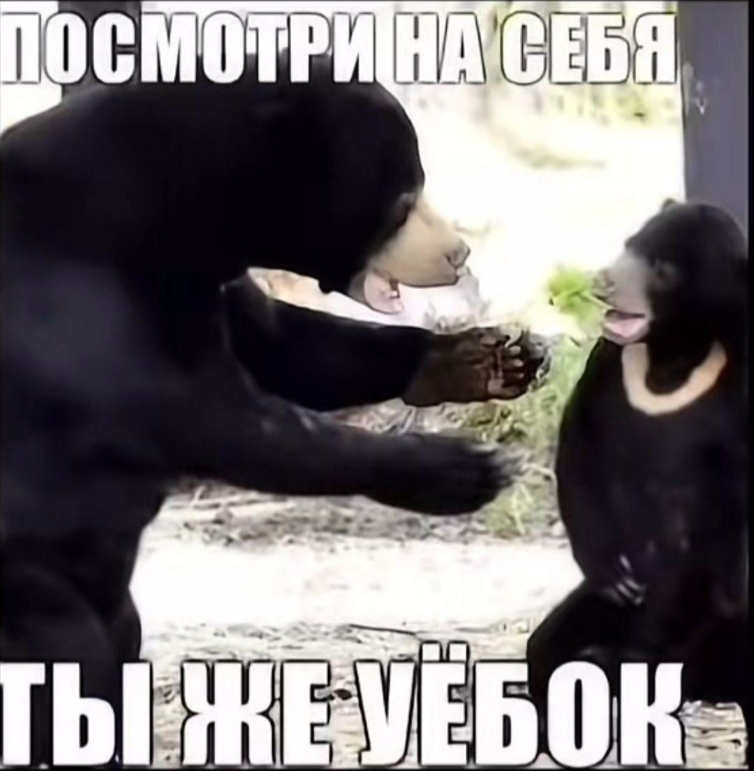 RustedMop tweet media