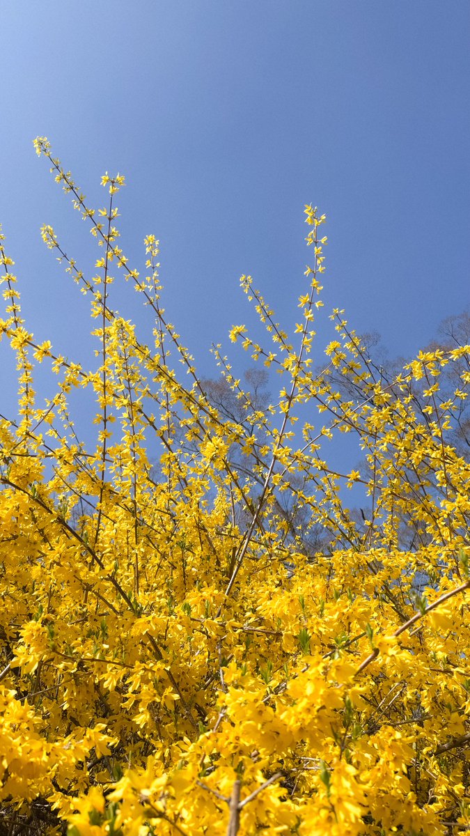 녹색광선 tweet media