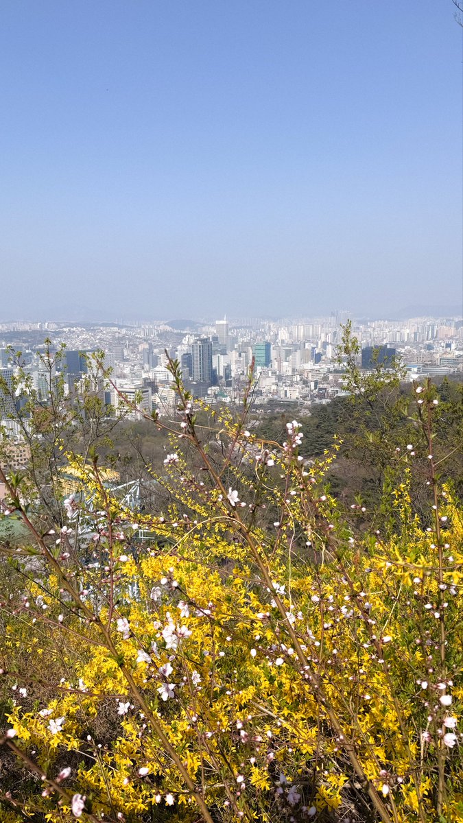 녹색광선 tweet media