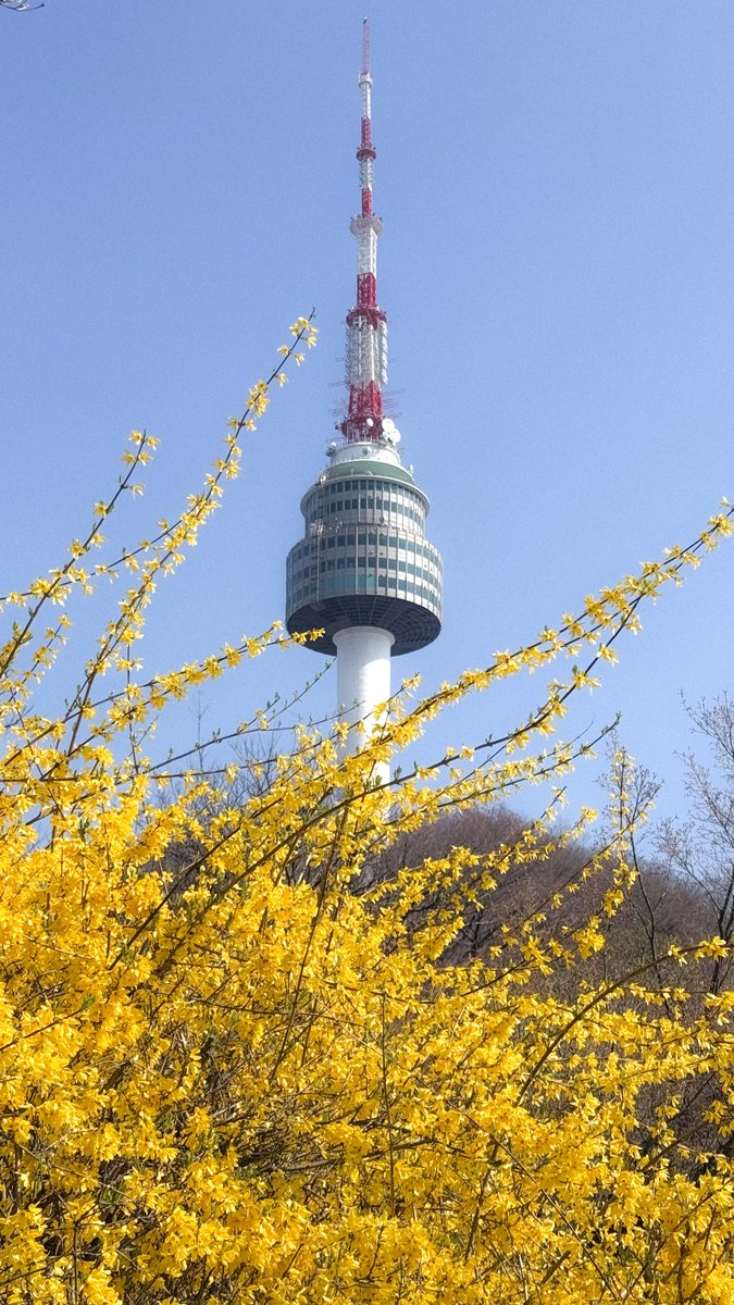 녹색광선 tweet media