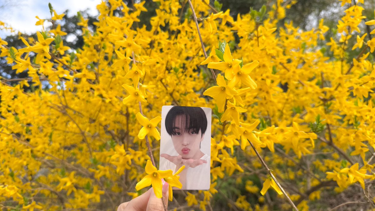 녹색광선 tweet media