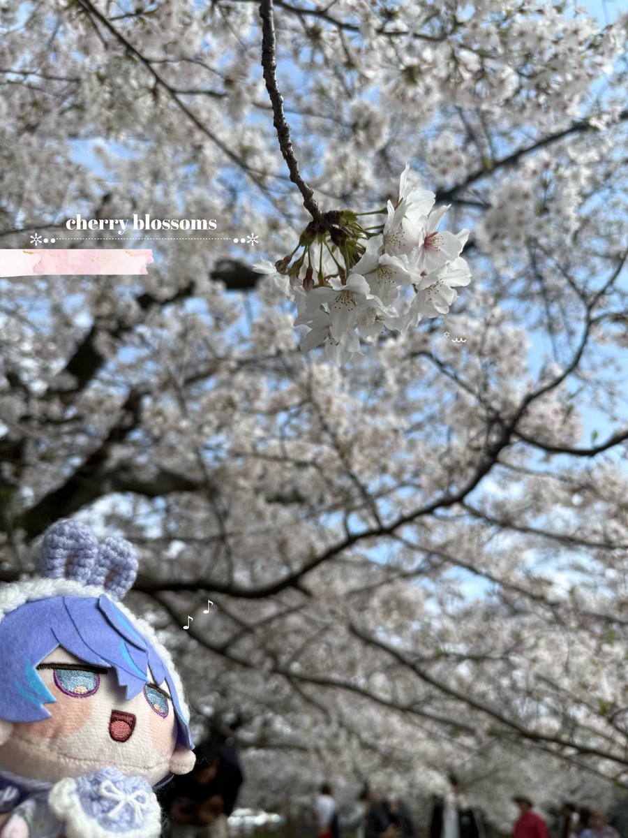 𝘢 𝘮 𝘪 tweet media