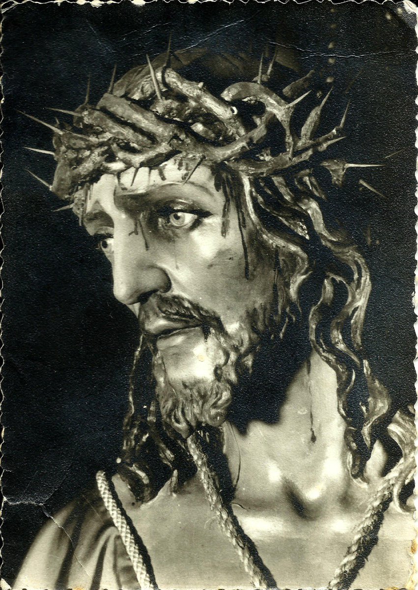 Cofradía Estudiantes tweet media