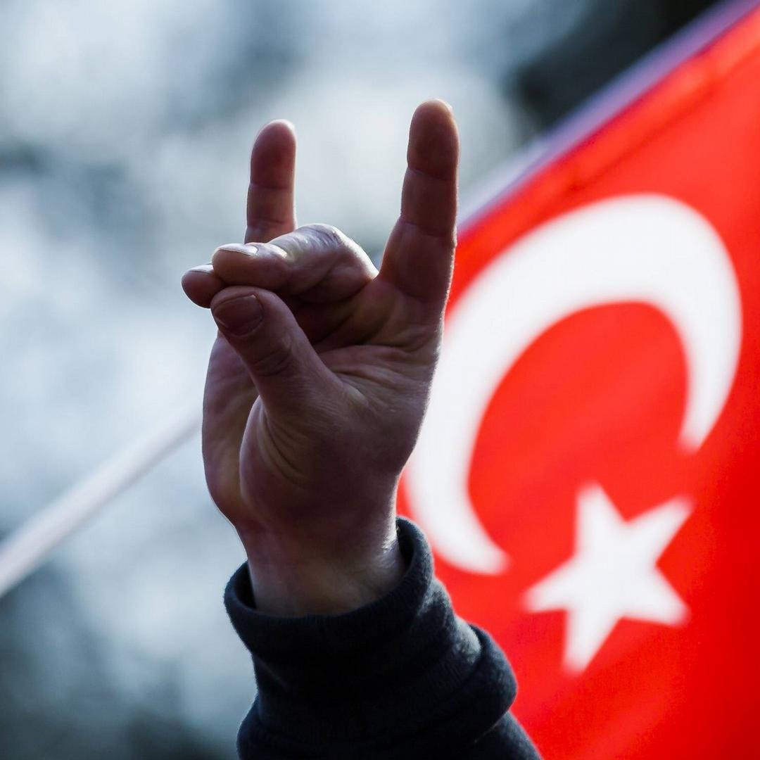 Bee Haber tweet media