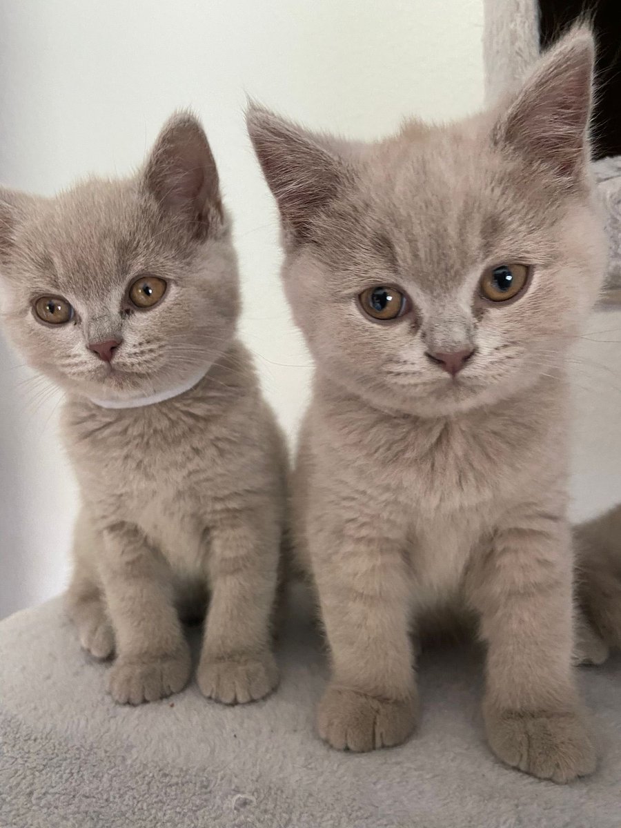 Frankie&Ricky, Janis en Remus🌈7-10-23 tweet media