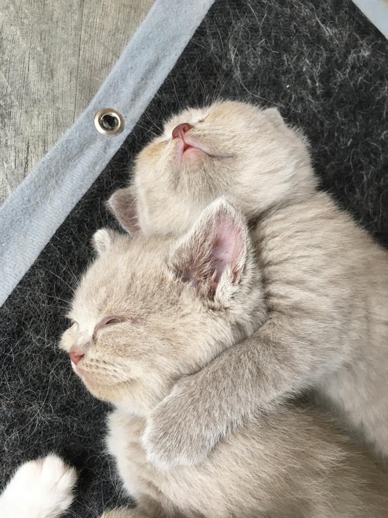 Frankie&Ricky, Janis en Remus🌈7-10-23 tweet media