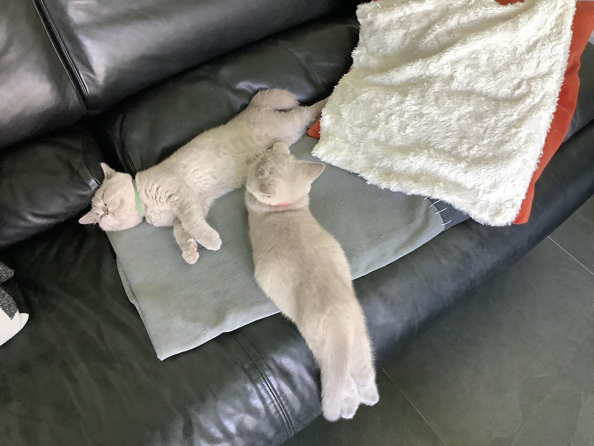 Frankie&Ricky, Janis en Remus🌈7-10-23 tweet media