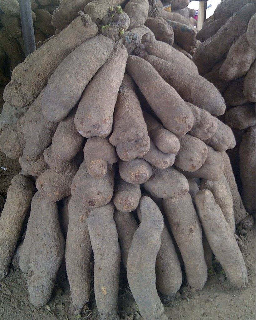 J.🅾️.P🌹💕 tweet media