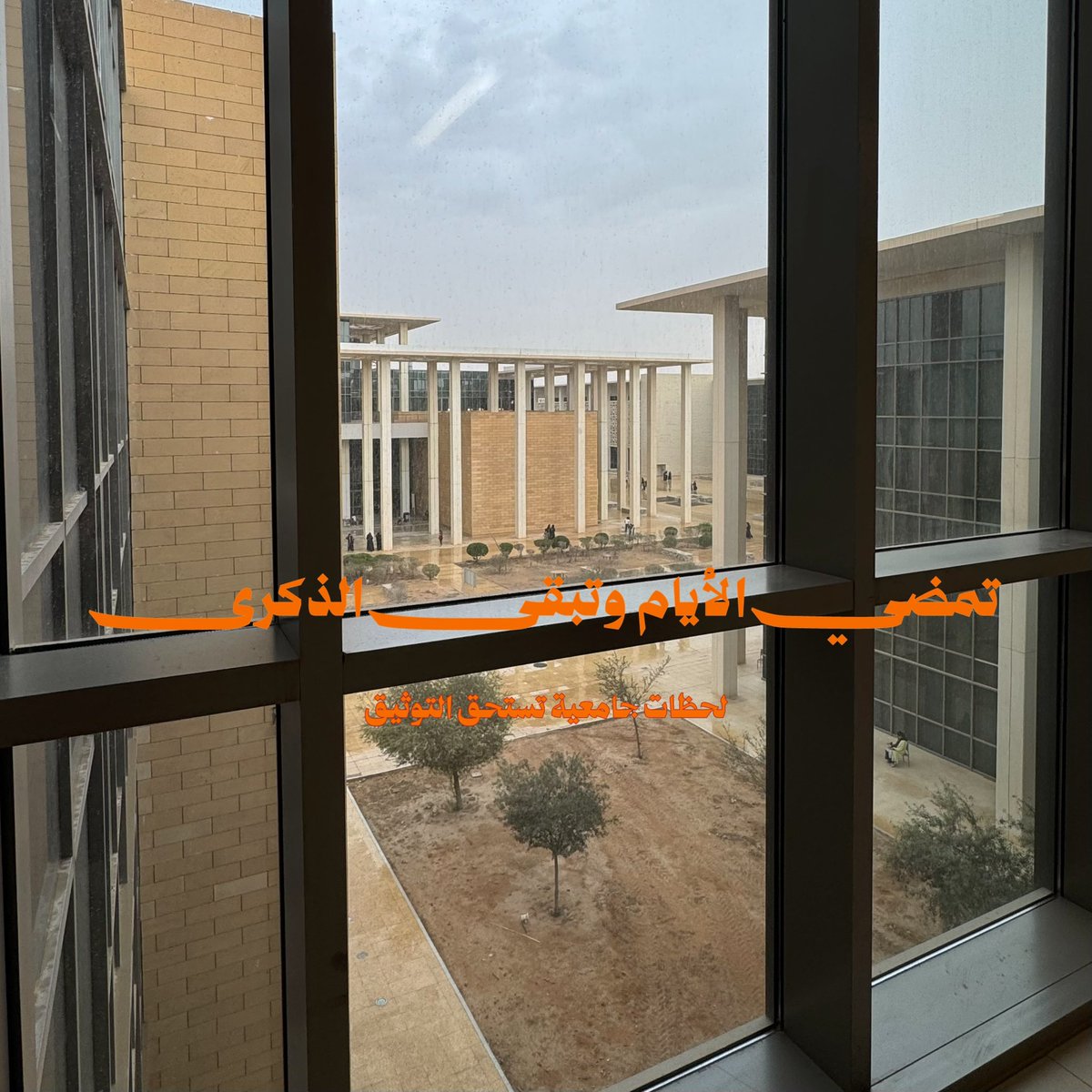 جوري الدخيّل 🍊 tweet media