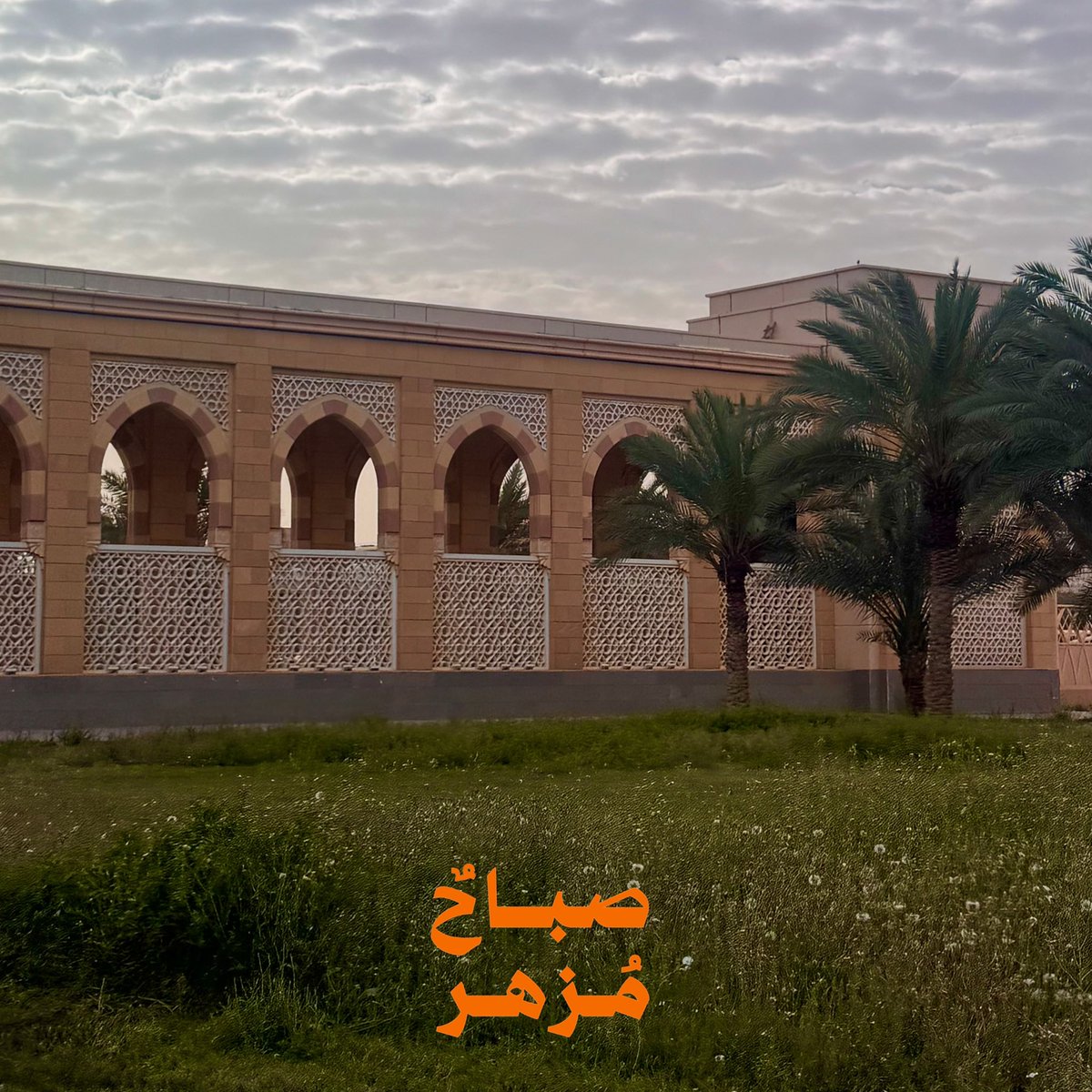 جوري الدخيّل 🍊 tweet media