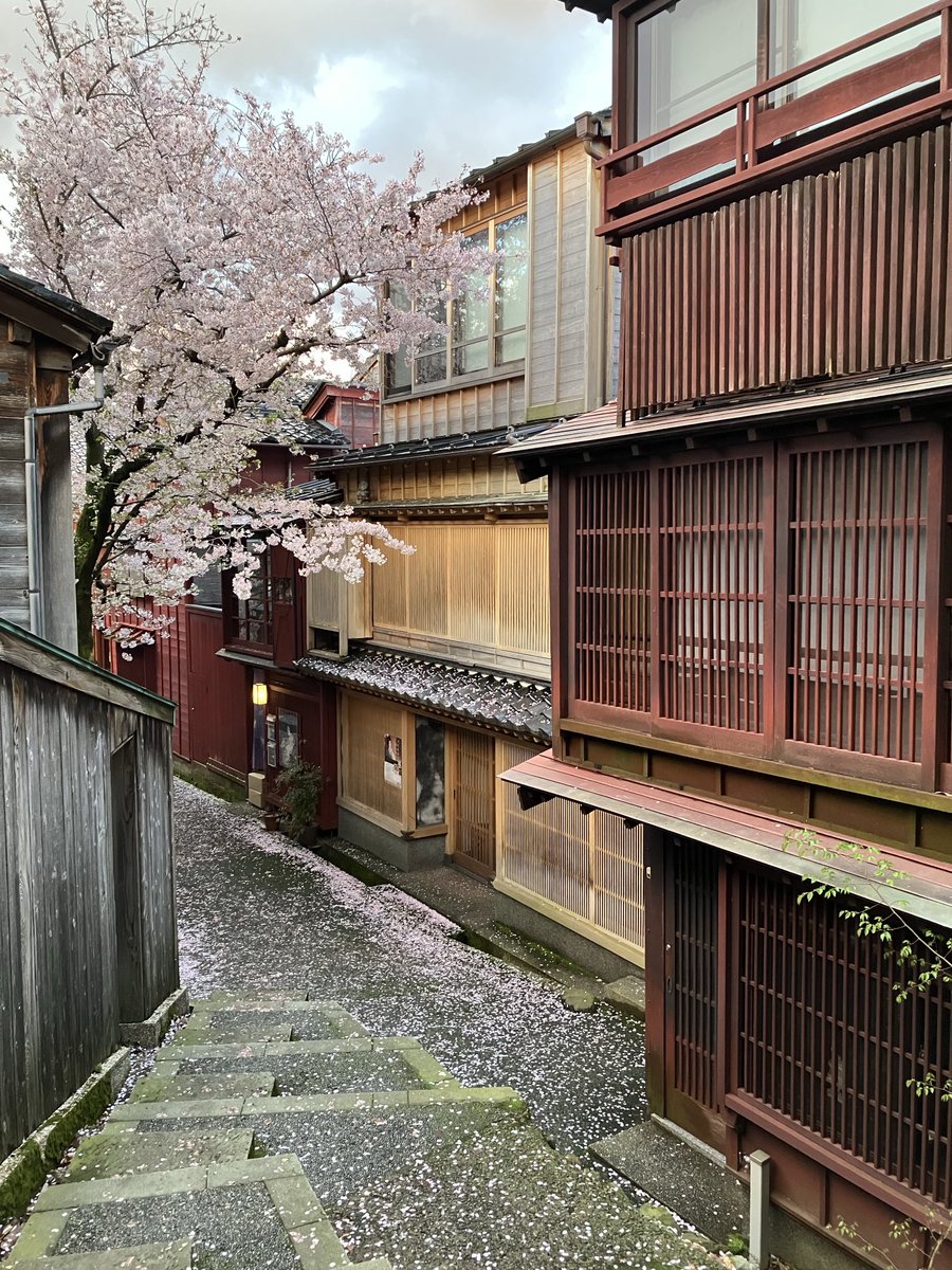 みるく(てんご区民)2 tweet media