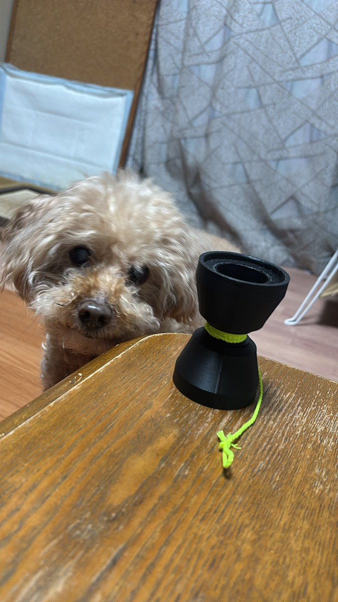 🍄ぎゃわ🍄 tweet media