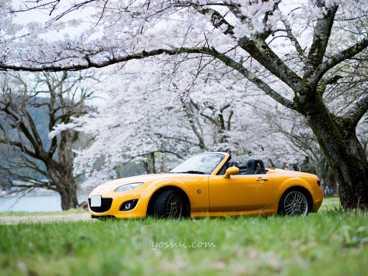 yossui_com's tweet image. #OMSYSTEM #OM1
M.ZUIKO DIGITAL ED 45mm F1.2 PRO

#写真好きな人と繋がりたい 
#withmazda
#ロードスター