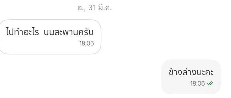 มัมหมีดอกไม้สีทอง🌸🌺 tweet media