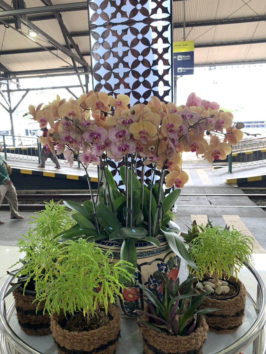 Khanif Irsyad tweet media