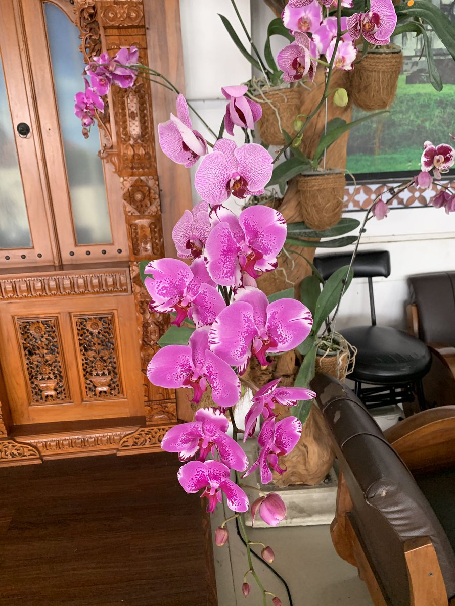 Khanif Irsyad tweet media