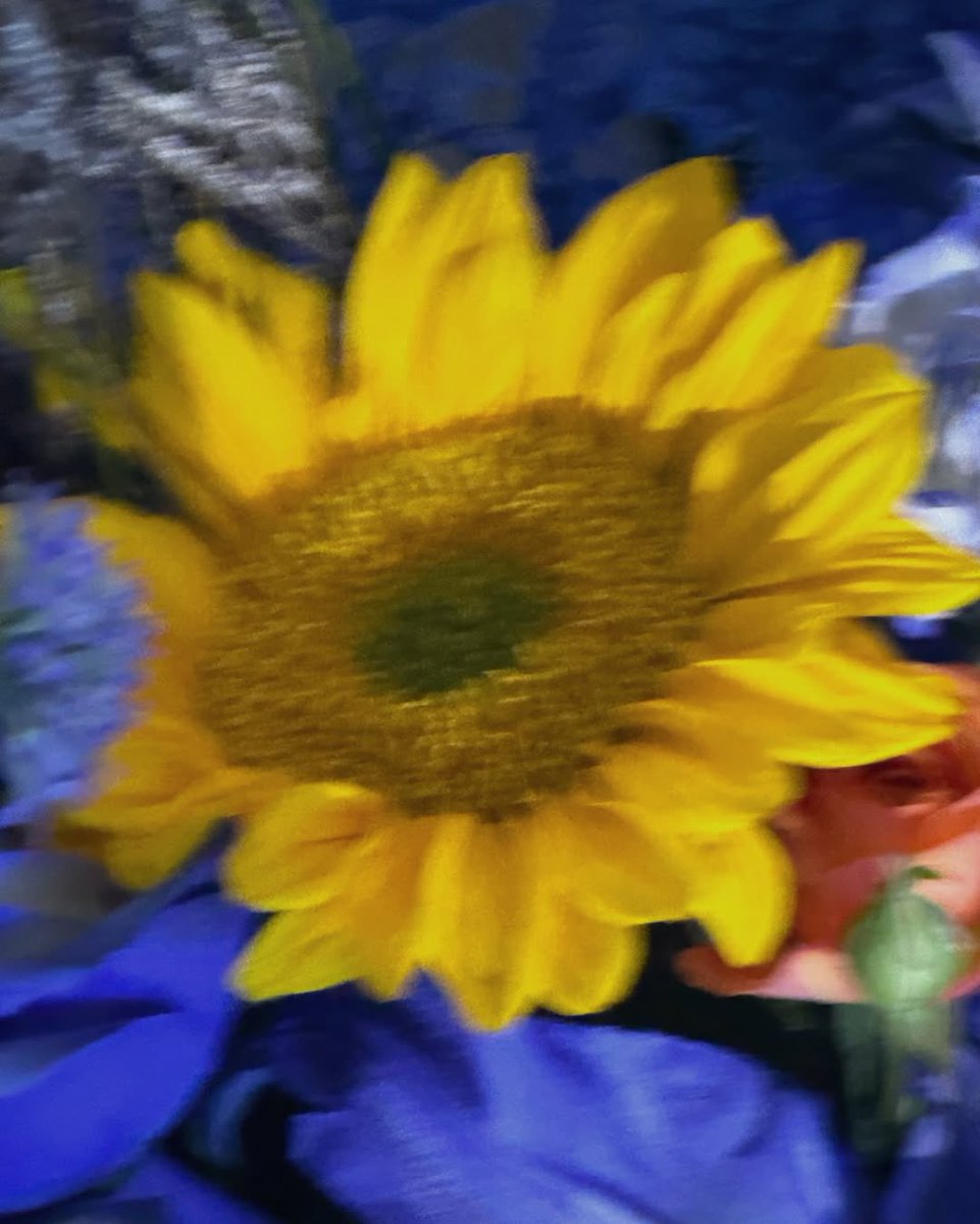 Pau ✿ ᵕ̈ || REST tweet media