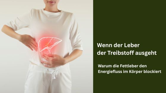 SennInfo's tweet photo. Wenn der Leber der Treibstoff ausgeht: Warum die Fettleber den Energiefluss im Körper blockiert https://t.co/tGAzFRtt92 https://t.co/CUfANhEZtv