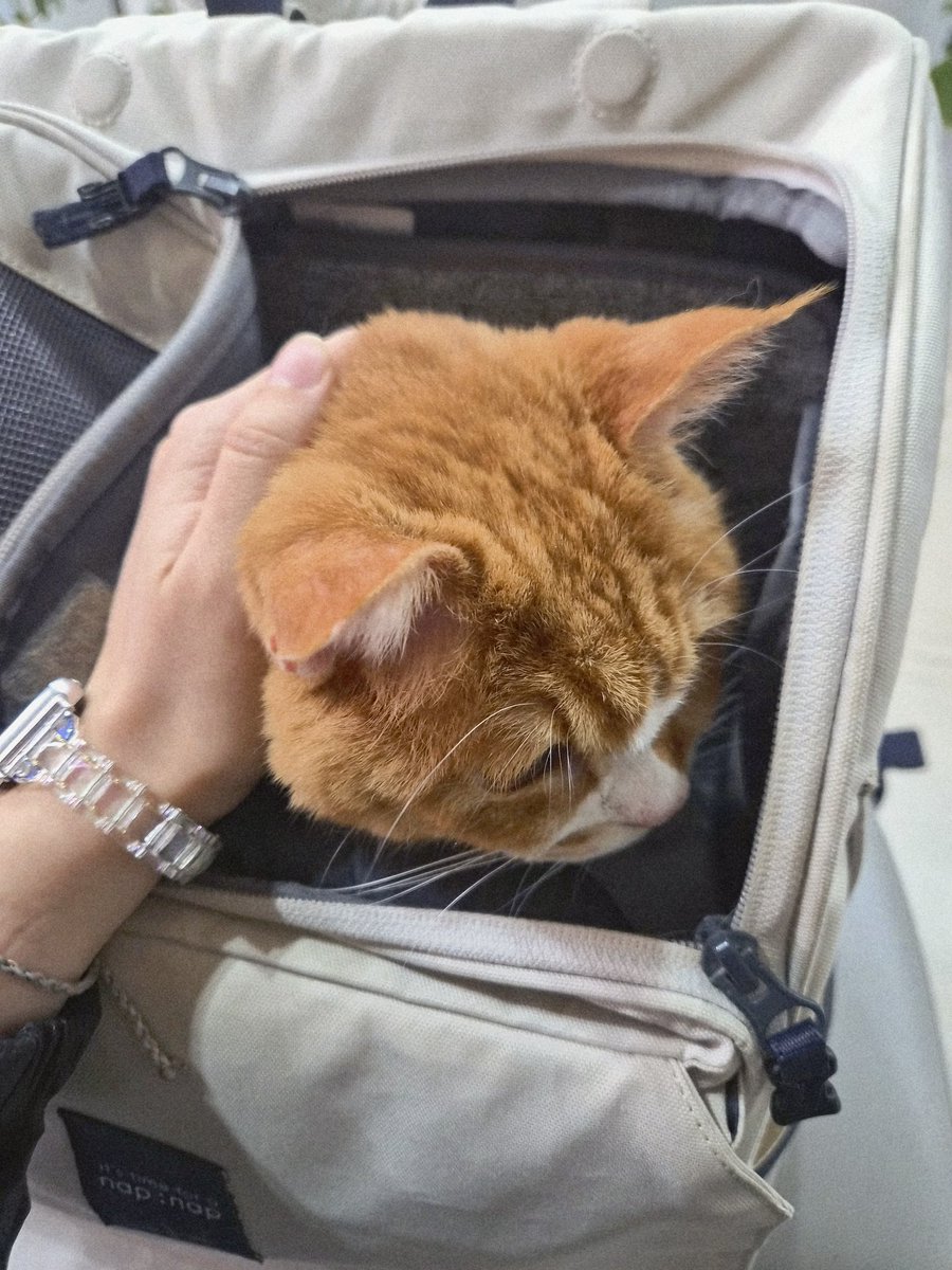 사랑해 뽀뽀또또 tweet media