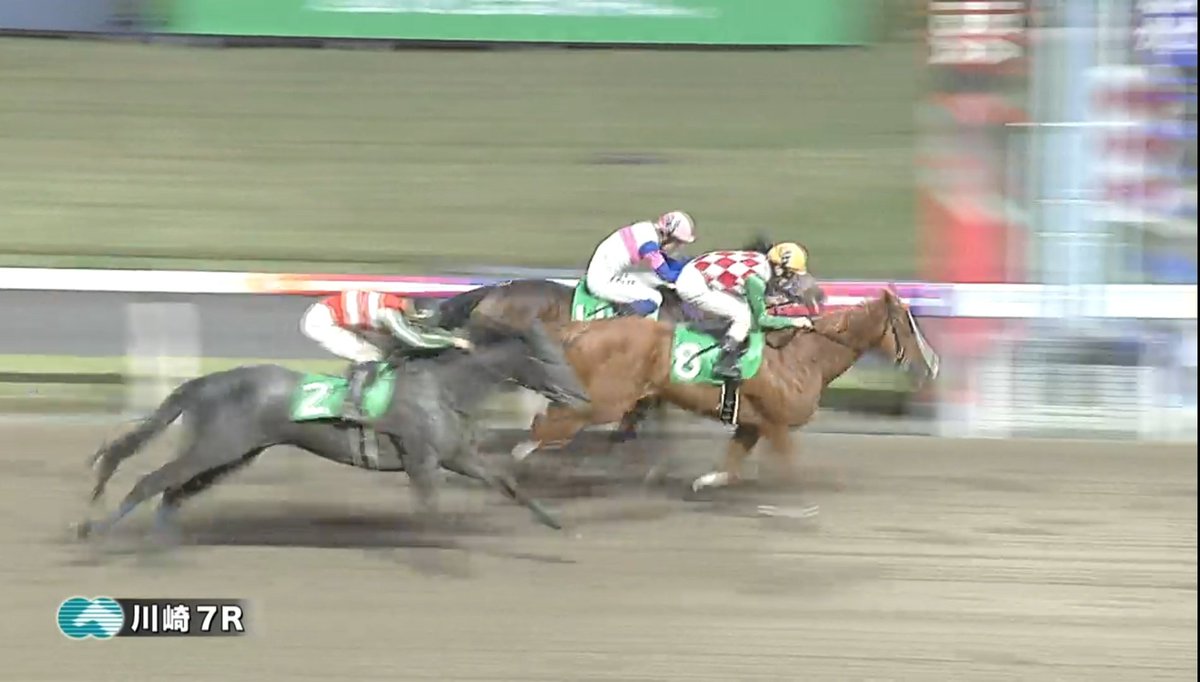 佐藤牧場 tweet media