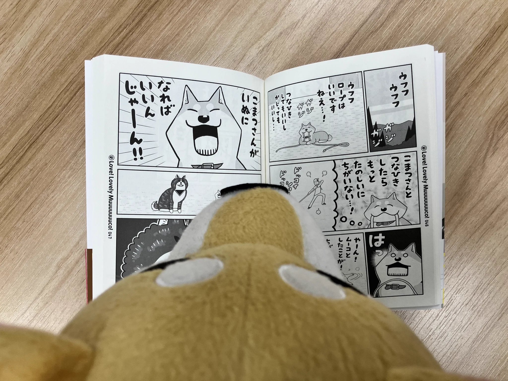 みずしな孝之『だいすき！ いとしのムーコ』作品公式＠最新5巻📚10月