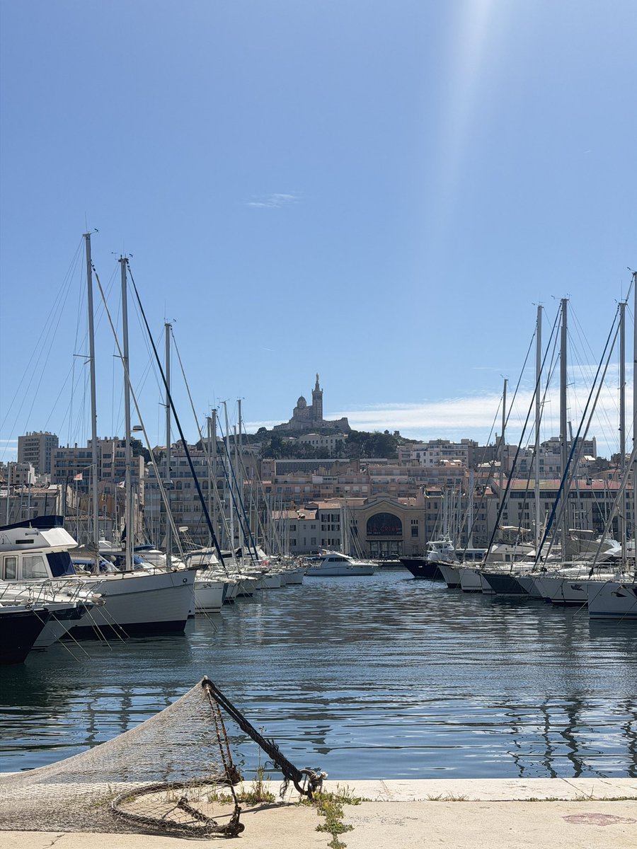 351🇵🇸 tweet media