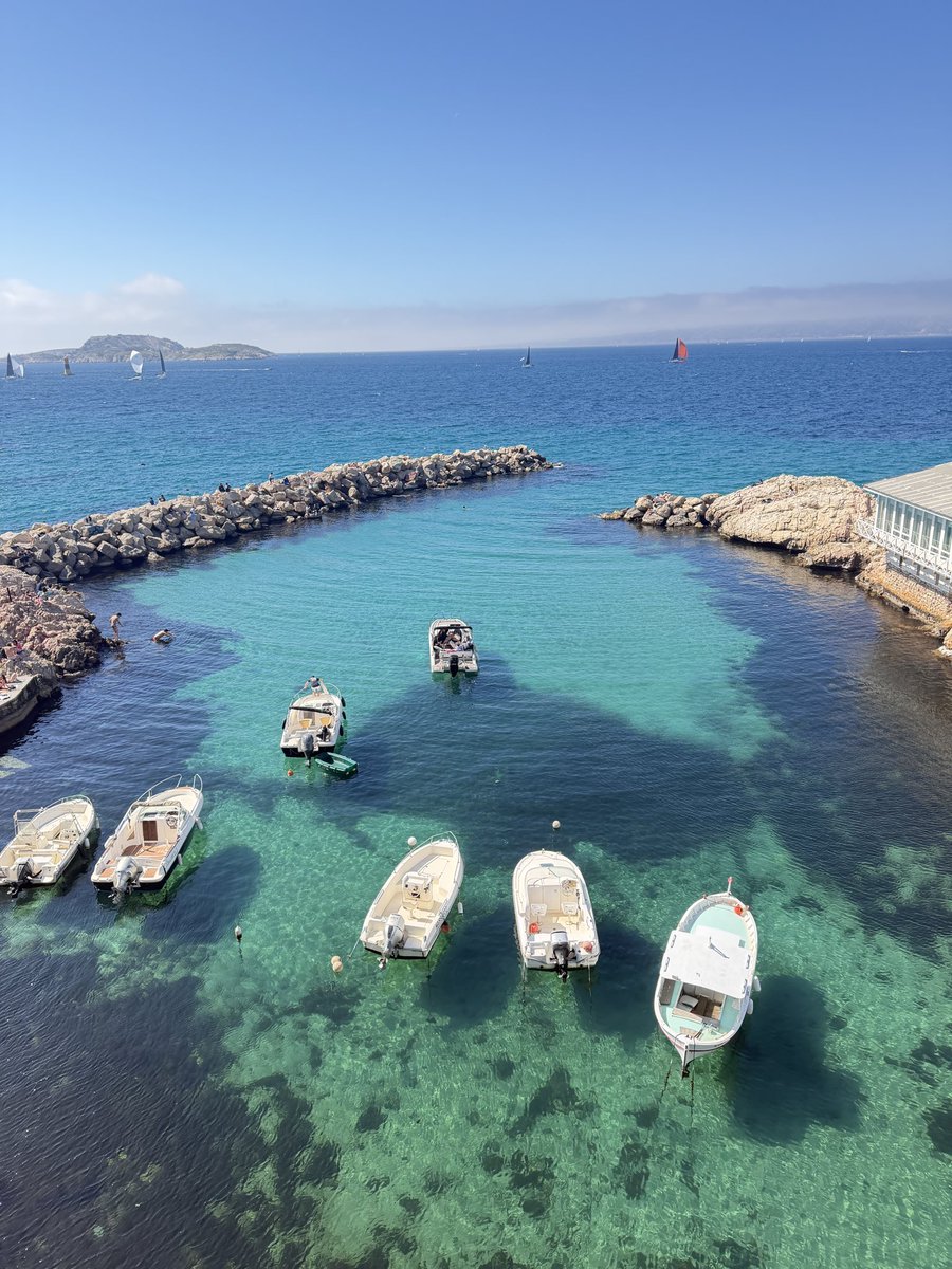 351🇵🇸 tweet media