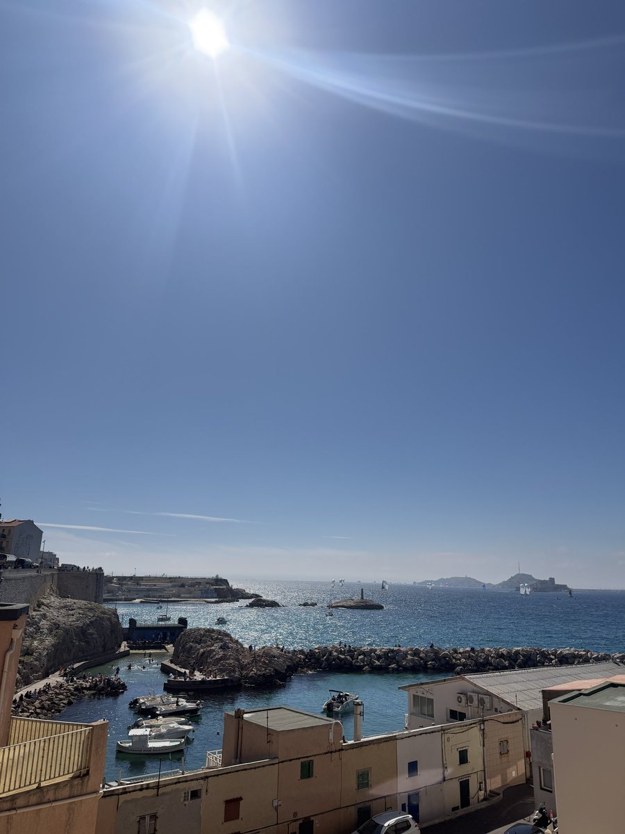 351🇵🇸 tweet media