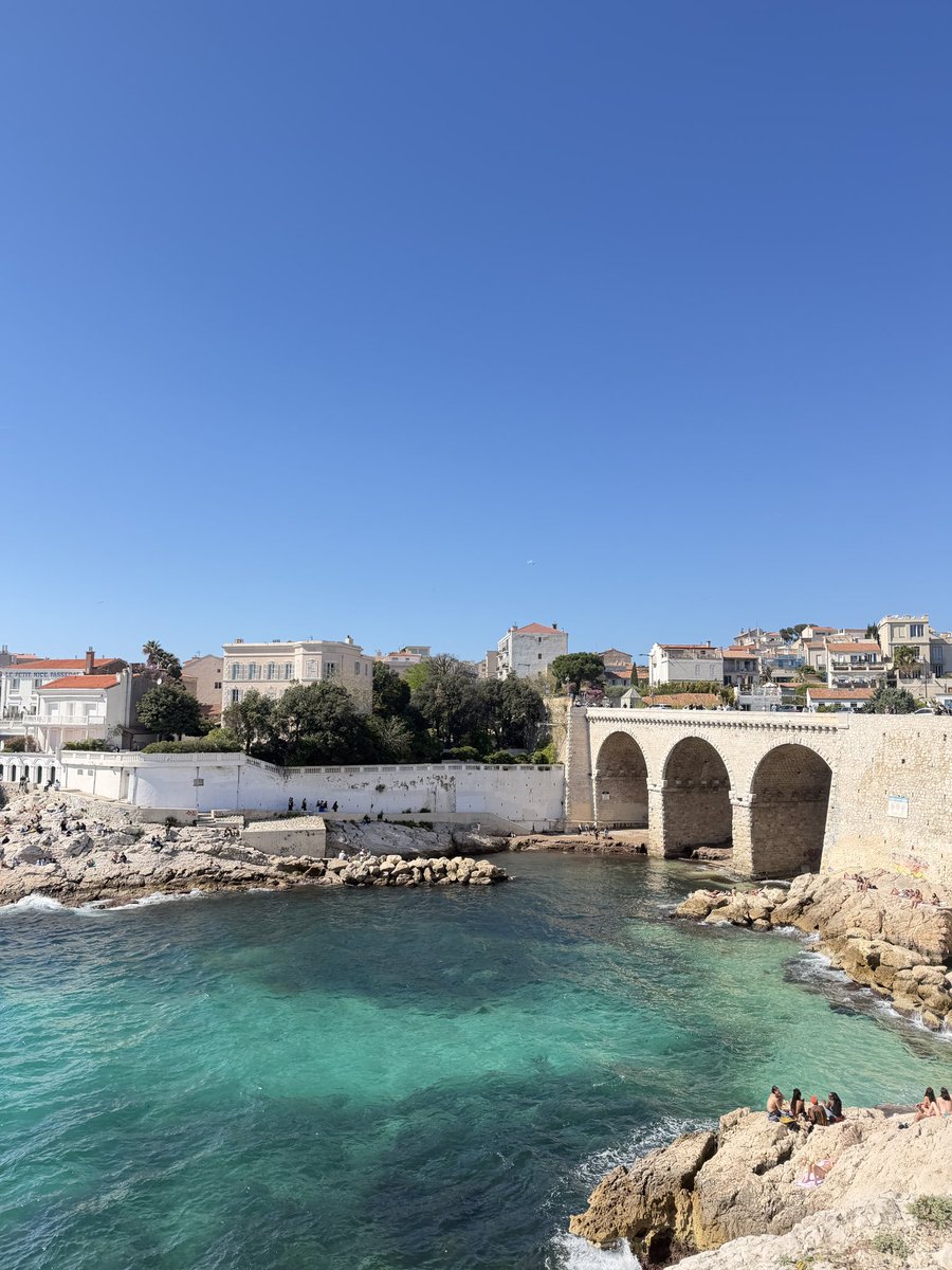 351🇵🇸 tweet media