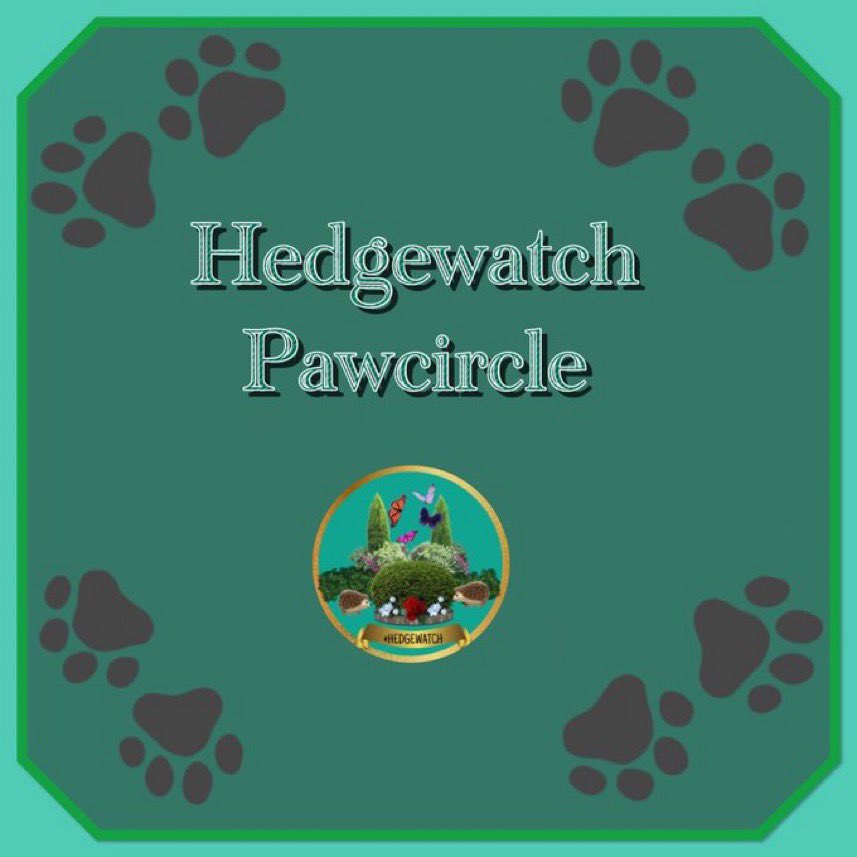 Hedgewatch tweet media