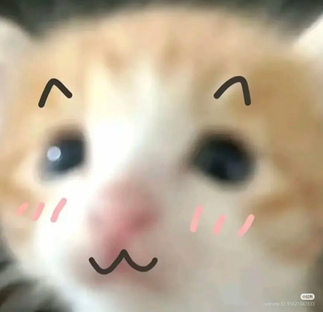 No Context Cats tweet media