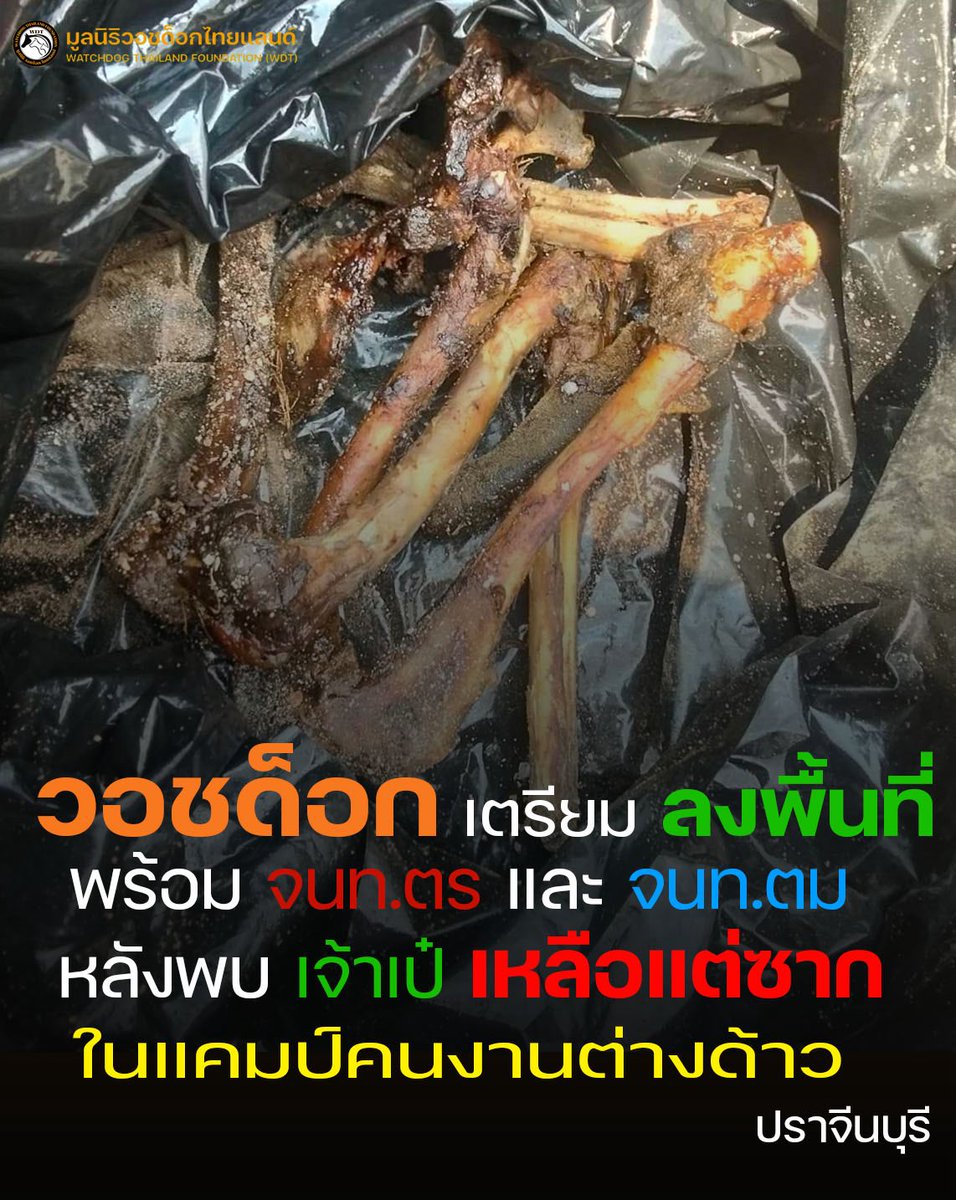 Watchdog Thailand Foundation tweet media